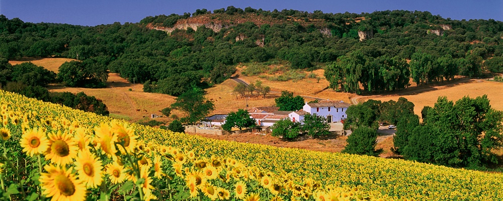 Cortijo de las Piletas, Ronda, Málaga, Andalucía (España)